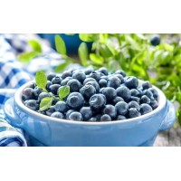 美国进口蓝莓清关流程和准备百利宫线上娱乐官网下载分享