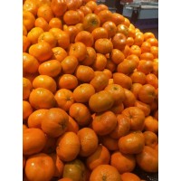 进口南非柑橘需要的清关手续和bt365体育官网