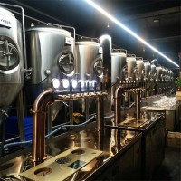 2000升精酿啤酒澳门新濠天地国际娱乐手机官网 啤酒发酵罐 酿造啤酒的机器
